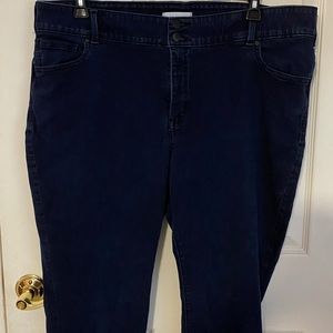 Lane Bryant Jeans